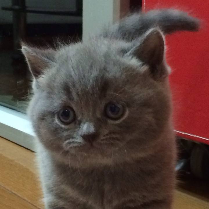 85757b08 0b0d 4121 b03c a0174d0e87a7