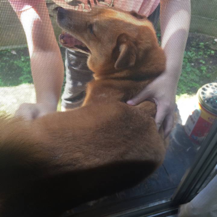 8575c2e6 25da 4595 982f 89b27044dca4