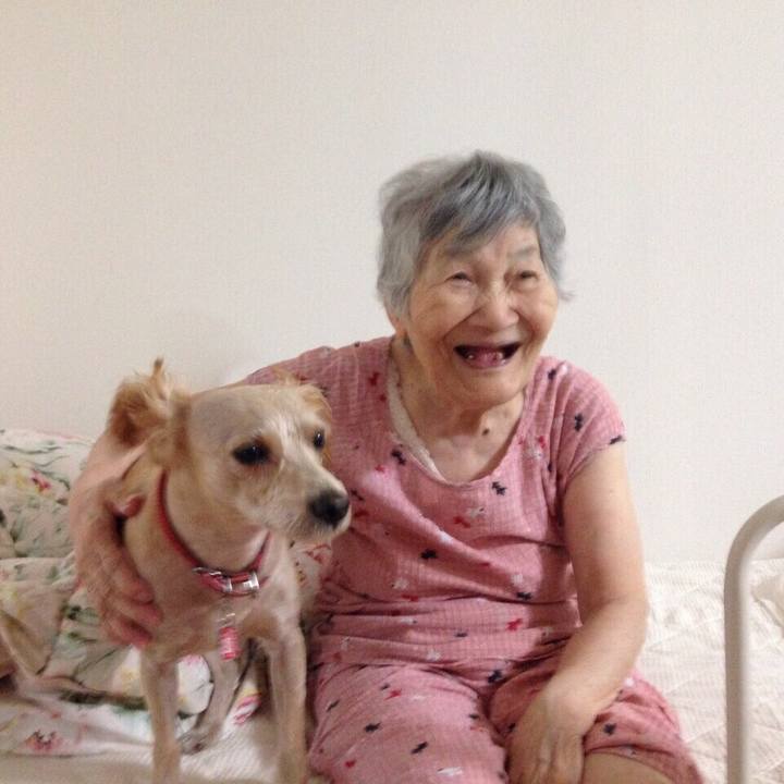 8575fb53 cc02 494c ace6 bdefdde69616