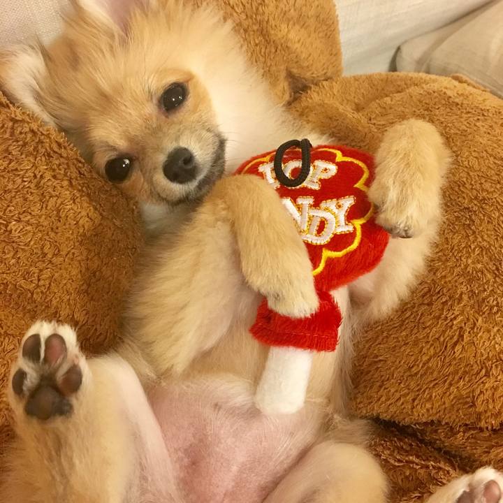 8576ac8f 12f1 4d74 aadf 062822d1378e