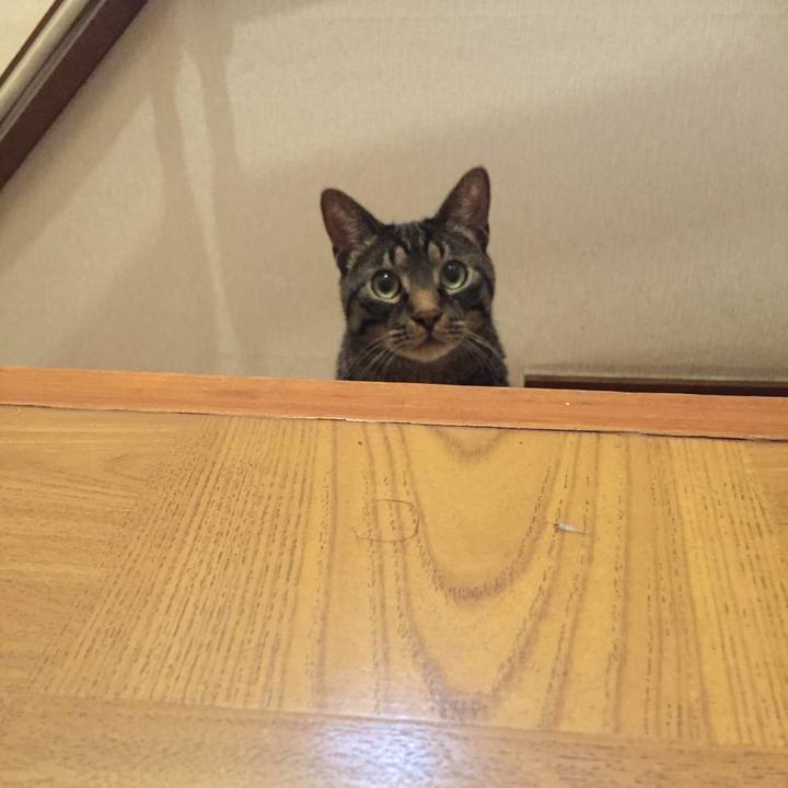 8576bbb6 fffb 446c 9ee1 abf9a4f1f55f