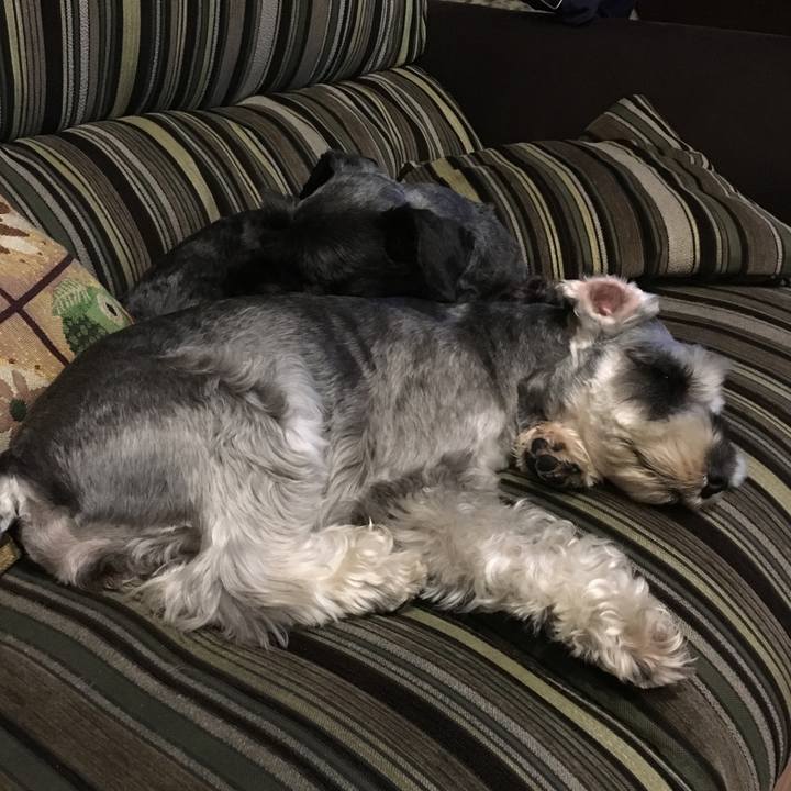 8576e05b 39ce 4098 8cc5 4c36a55ff163