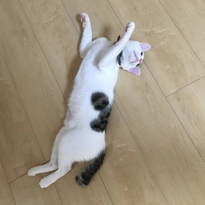 85776124 8a5c 46c9 9ad6 cf15f5ace229