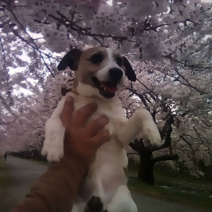 85778888 2da0 43b0 ac7c 7c324c994a31