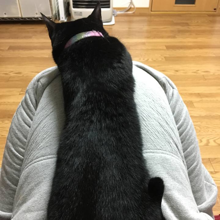 85778ff0 3dda 4a59 829c 5d7deb197d03