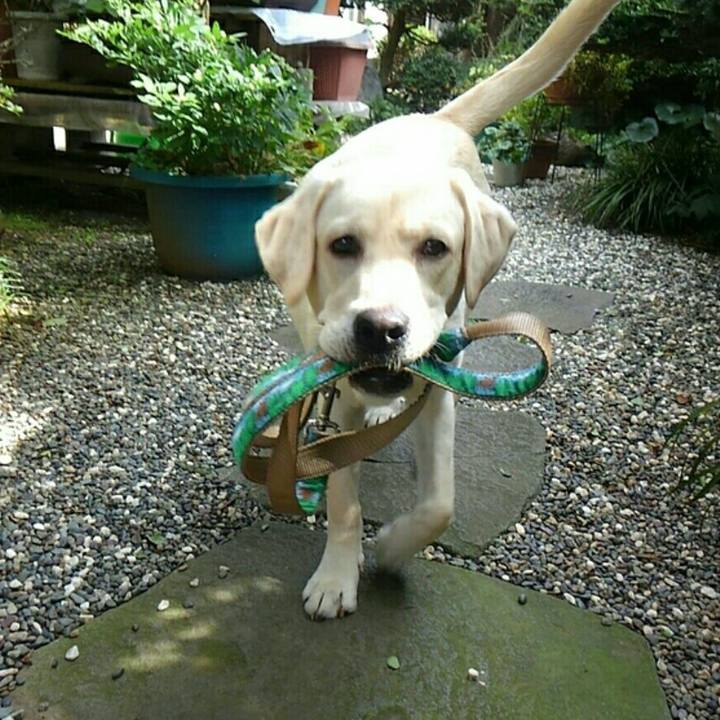 8577fb75 6a09 4ba0 997a b923c933ea66