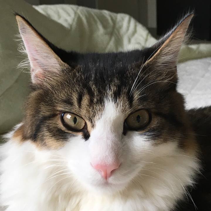 857978f0 c97d 4129 8494 1deca5947fe3