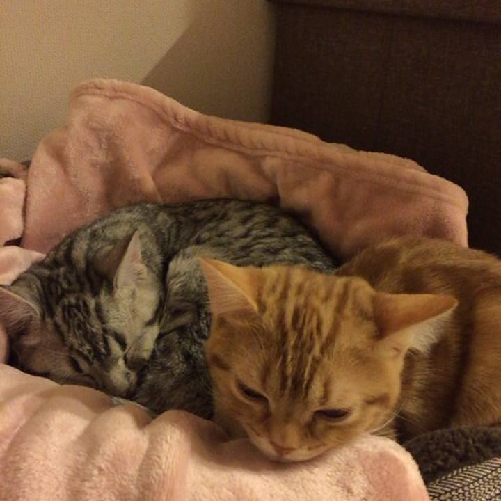 8579a736 181b 4750 8427 ecb4e2686d7f