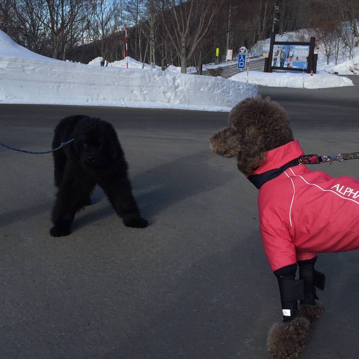 8579d2ad 4954 41d6 82aa ea1479afba3c