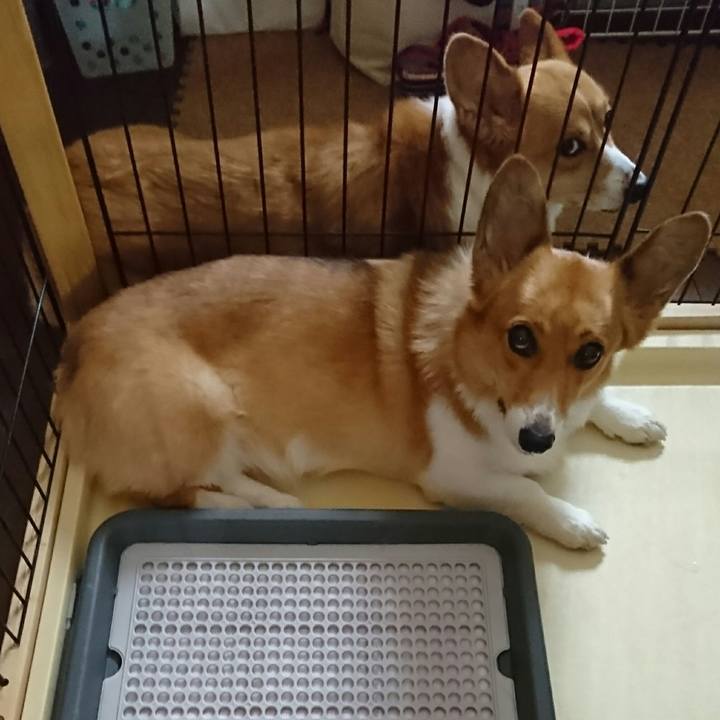 857a2004 a634 4159 b25b 09da81342810