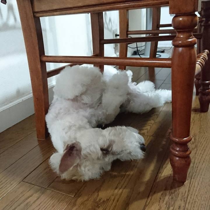 857a4f05 d81a 4347 9352 7c58705a2023