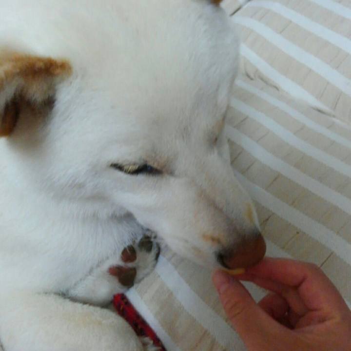 857ac794 8c9f 49a6 bbca 85bf02f11339