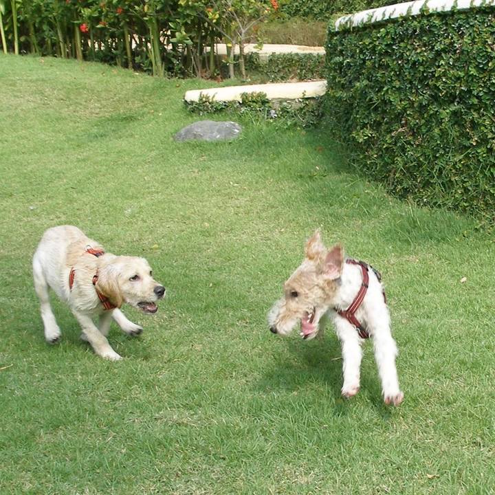 857b3309 9d69 438f 9abe 091907bfd4f5