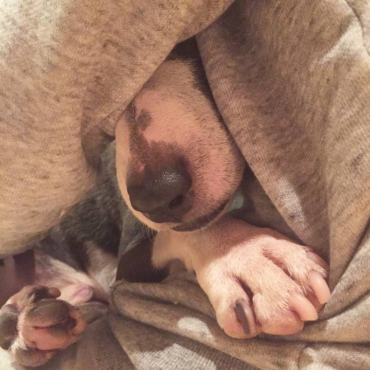 857b5c67 f69c 43bc 96e4 557453f59789