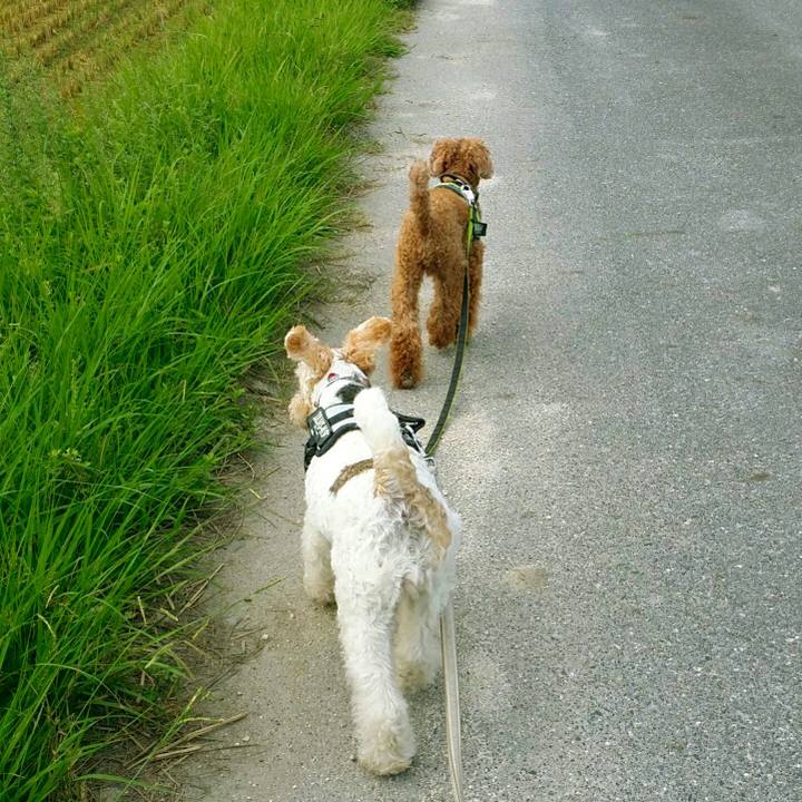 857bbbd4 1edd 4bb7 a34d 601d62dedf83