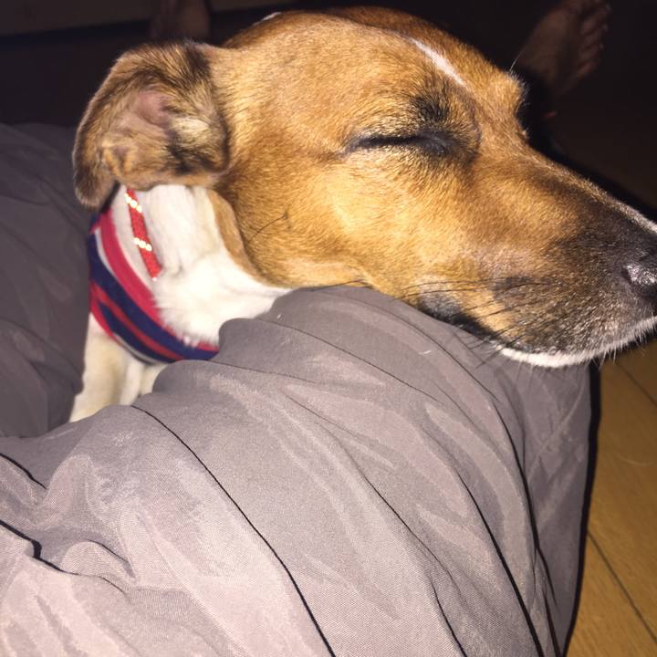 857c0823 3899 4163 b0c6 60a012272bed