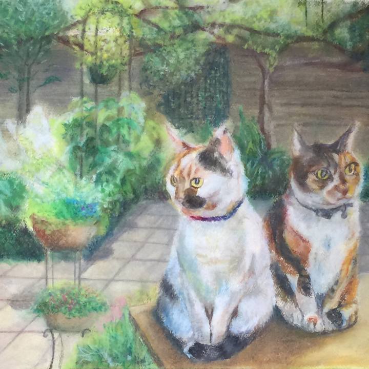 857c3969 a687 400b b3bf 9c804d9274d6