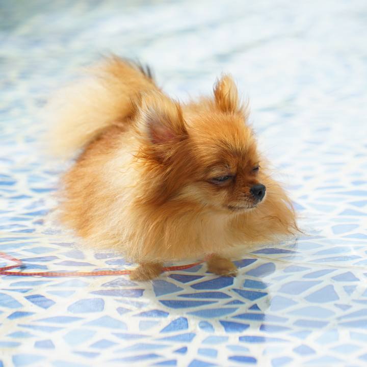 857c3cb2 47f8 41ba b3b0 eea215ca40e5