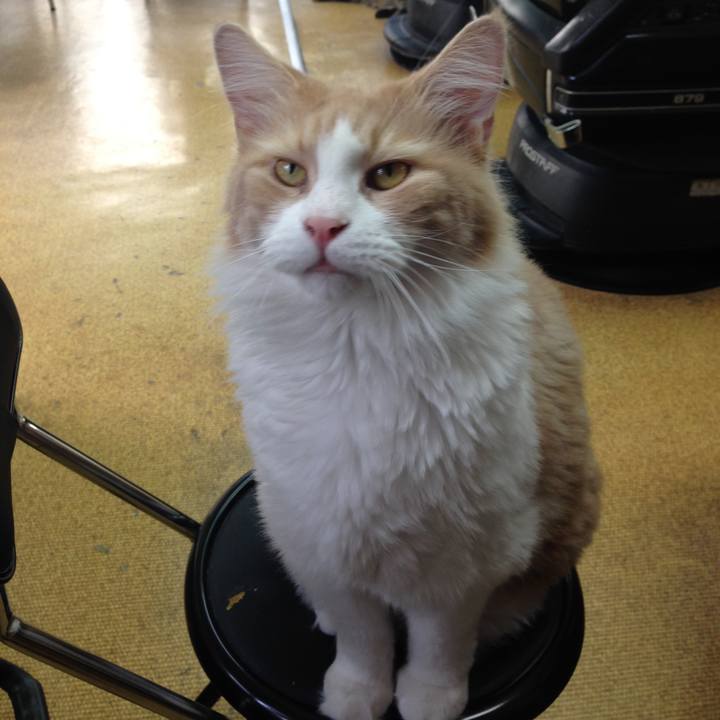 857ce2a8 9b2a 4135 85ed 5de94fa2bbfc