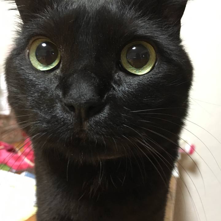 857eb508 53a8 404e bd76 167d8f5627e8