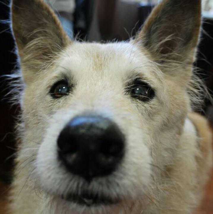 8580cb92 bb03 40b5 a98c 010432ce3486