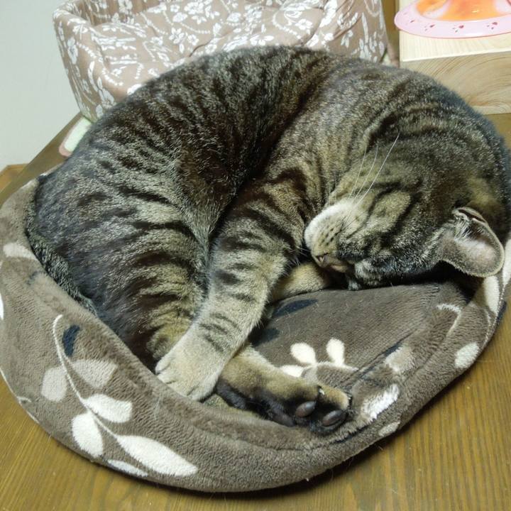 8581533c 1114 4ae9 ac4a 53a5a3c372e2