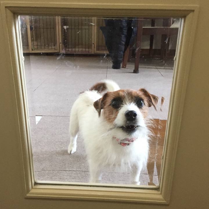 85820bbb cf23 41ec b54f 311ee52a64c6