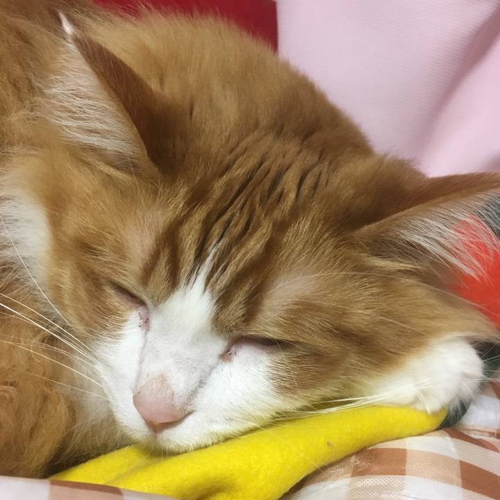 8582159b 396c 47f4 bcaa f65dd5ad87b1