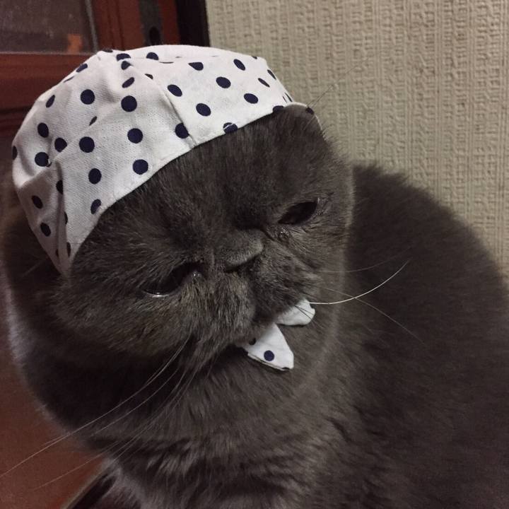 85821c4d 75c0 4e08 9060 10838d741075