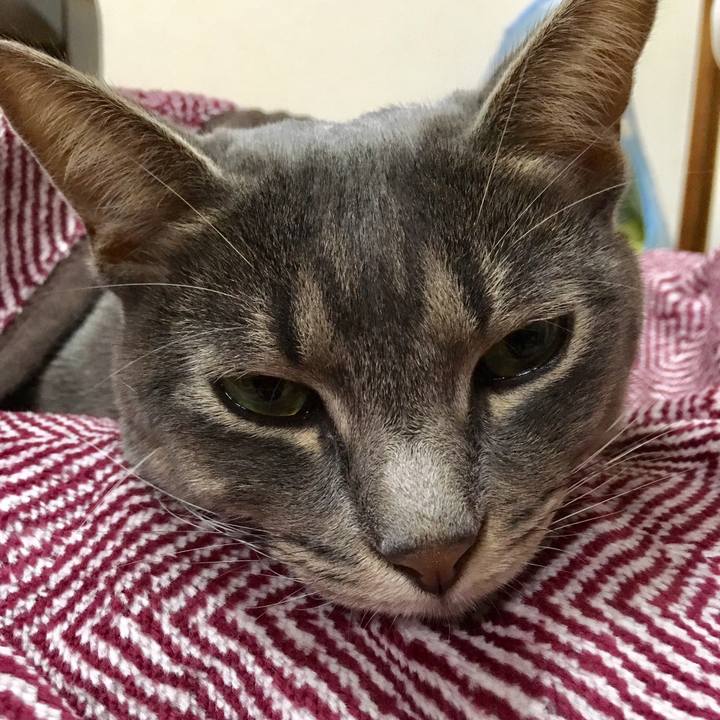 85830313 5950 455a b51c 5a0f1382c21c