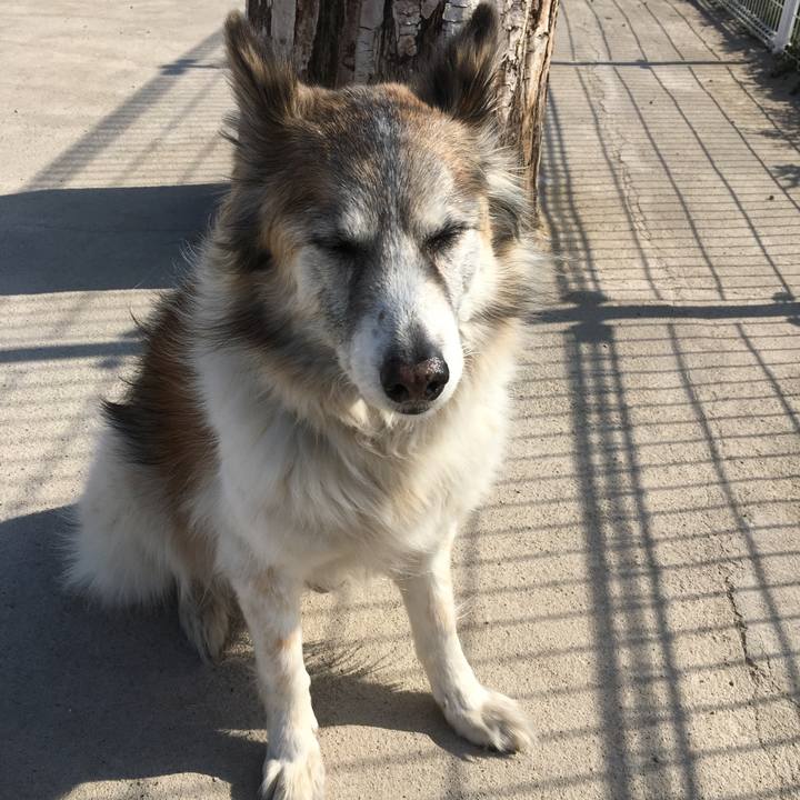 8583f774 446b 4000 96f5 29a3b8322491