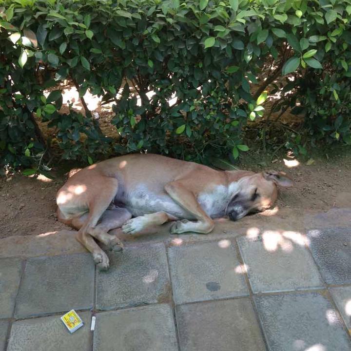 858469d9 1b9e 4590 8f04 efcc63210ffa