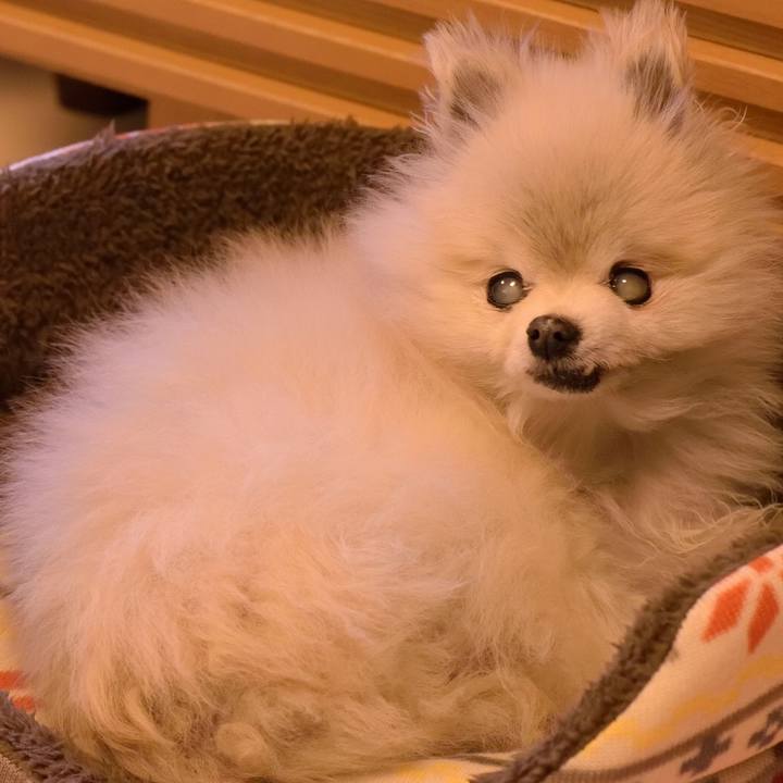 85848cac 69c0 459b 92f5 00b0cde96b86