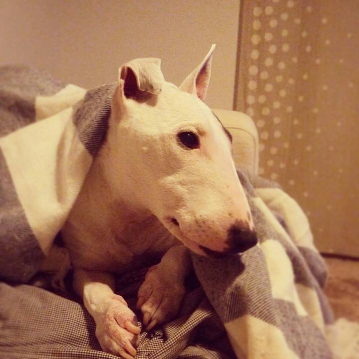 8584d407 f534 4e42 83d8 d3e38a2e640a