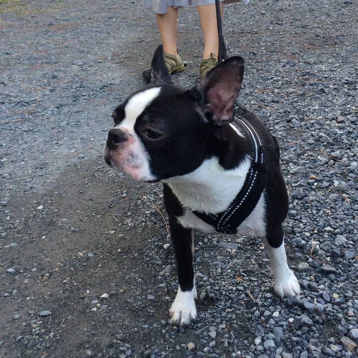 8584de8f dc2e 4305 a11d 83a0c1dbbf57