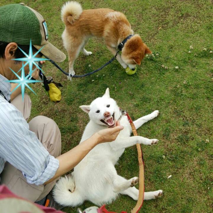 858512f2 9406 459c aed1 4be670a22c27