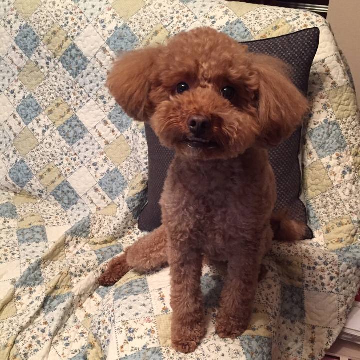 8585794b bfee 4927 8c0c 554ef3cbabd9