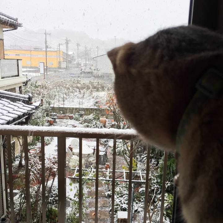 8585cee1 01a0 4fdc 8443 b3a86ffd26c9