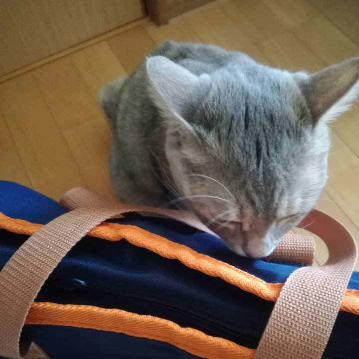 85864efc 149b 4d16 b4fb 8ef3a97d0a38