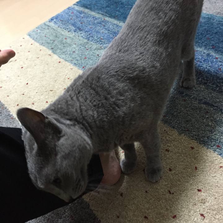 85865a2d 2300 4756 8594 042633fa1e6b