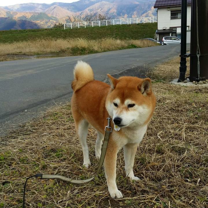 8586a269 ee3f 4737 acec fb1b5222768d