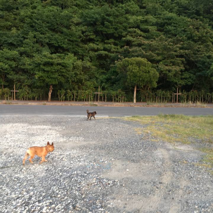 8586bbf3 0f2c 42ec aa9b f6a51490560f