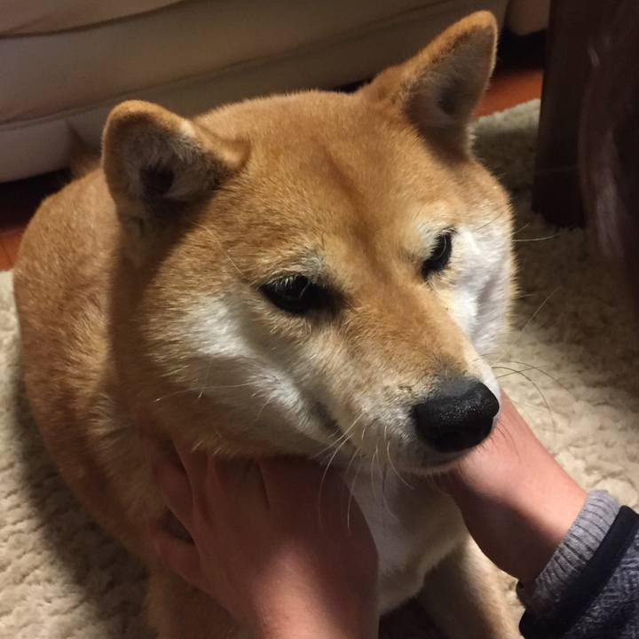 858787e6 f41f 4948 a57e f110c688a154