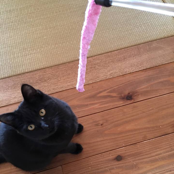 8587b63c 8503 4fd6 830f 70365f07e1ab