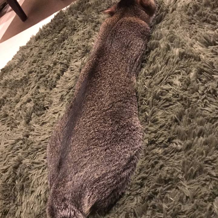 8587d00f 30be 4815 a9e4 323c18e46177