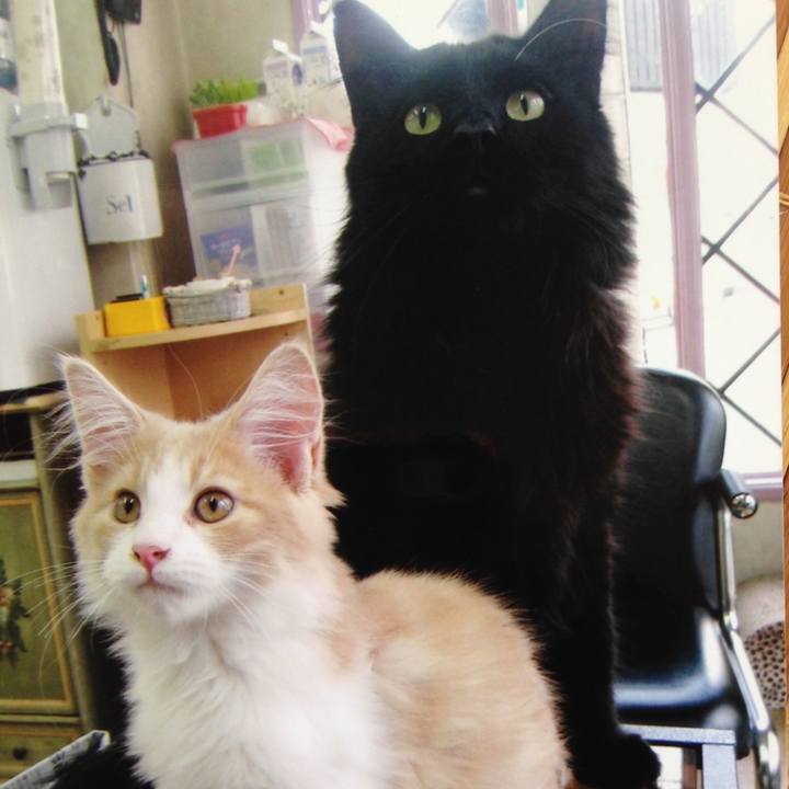 8589ddc5 3177 4b02 bba7 fb5d6a880fb8