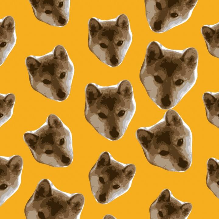 858a7a50 cb4f 425b a19e 7377758c9798