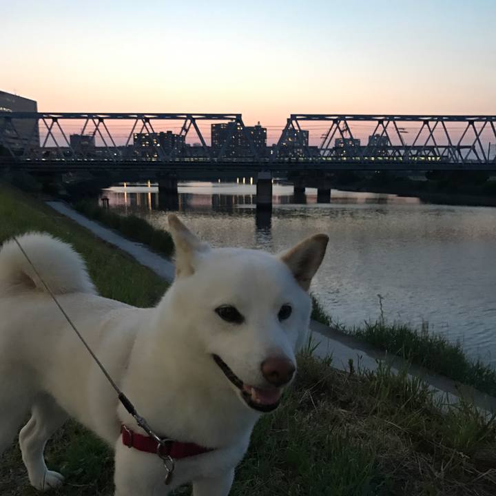 858b2aa6 74e1 48d6 881c bdde4d869312