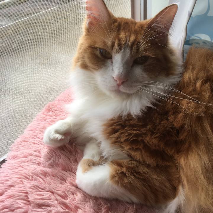 858c4f63 e063 4d82 a56c b07b30322c96