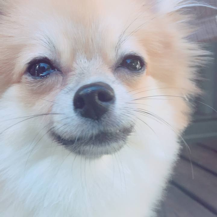 858c6ab6 abb2 4af0 837d cd8a1c6e350b